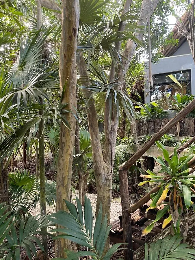 Hotel Roc Jungle Tulum 4*,