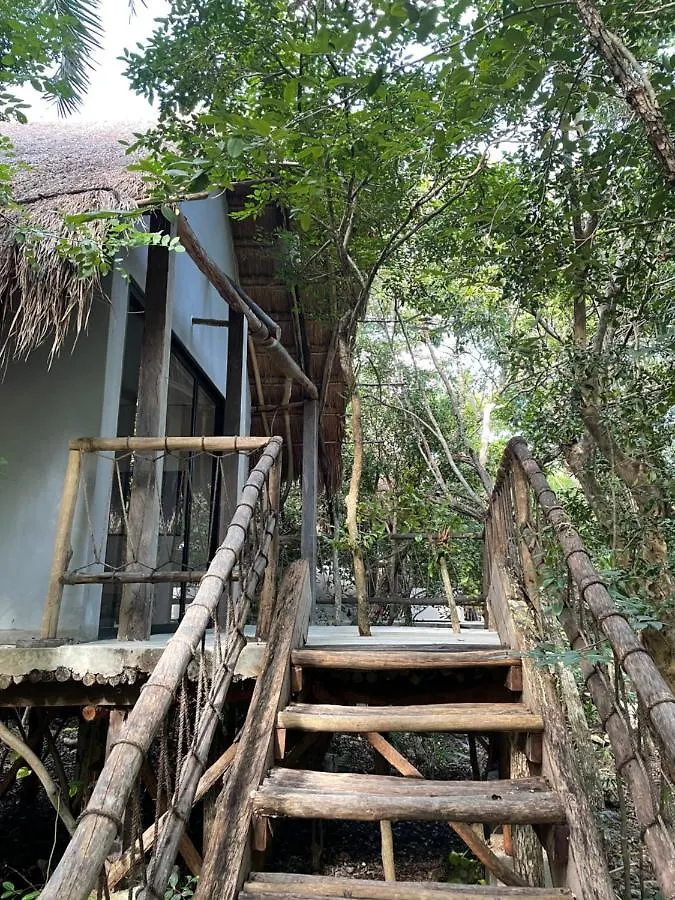 Hotel Roc Jungle Tulum
