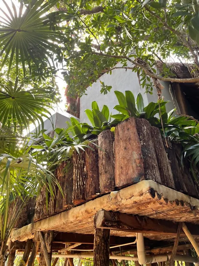 Hotel Roc Jungle Tulum Mexiko